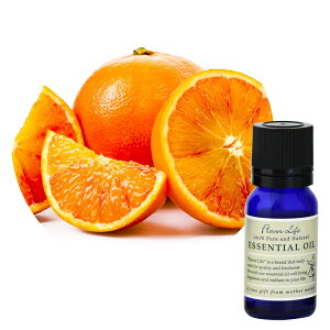 Flavor lifeit[o[Ctj ubhIW 10ml ( GbZVIC  A} IC )