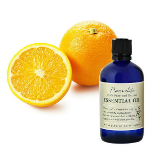 Flavor lifeit[o[Ctj XC[gIW 100ml ( GbZVIC A}IC  )