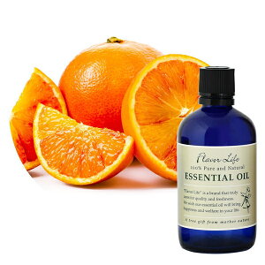 Flavor lifeit[o[Ctj ubhIW 100ml ( GbZVIC  A} IC )