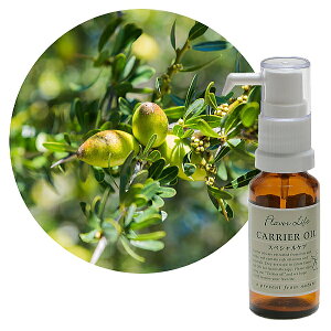 Flavor lifeit[o[Ctj LAIC XyVPA L@AKIC 20ml ( XLPA {fBPA I[KjbN )