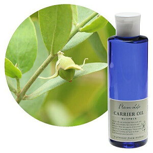 Flavor lifeit[o[Ctj LAIC zzoIC 200ml