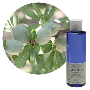 Flavor lifeit[o[Ctj LAIC XC[gA[hIC 200ml ( XLPA }bT[W {fBPA )