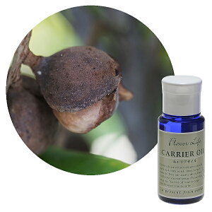 Flavor lifeit[o[Ctj LAIC }J_~AibcIC 50ml ( XLPA {fBPA )