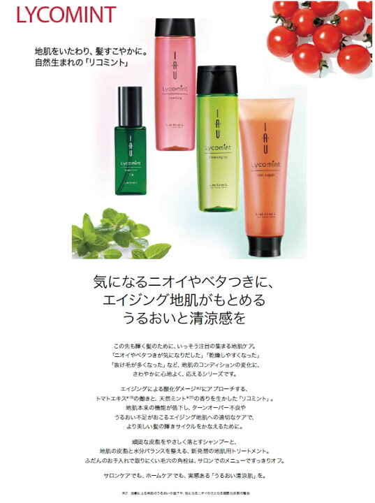 ルベル イオリコミントクレンジングアイシー（シャンプー）2500ml詰替 
