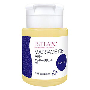 GXe{ }bT[W WF WH 290giGXe{ }bT[W }bT[W WF  XLPA V[r[GX CBS EST LABO Tꔄi salonj