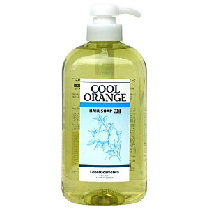 x N[IW wA\[v EgN[ 600ml (x Vv[ lebel N[IW N[Vv[ PA XJvPA e Tꔄi shampoo salon)