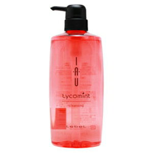 x CI R~g NWO 600ml (x CI Vv[ lebel eꔄ e@ Tꔄi salon mVRVv[ PA XJvPA shampoo TVv[)