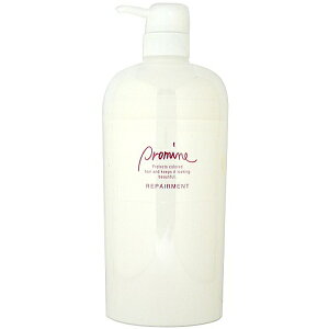 iJm v}C yAg 670g (쐻 wAJ[p g[gg wAPA eꔄ Tꔄi)