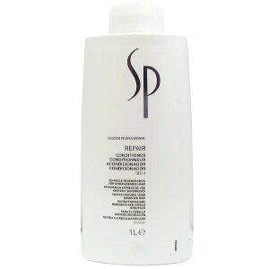 EGSP yA RfBVi[ 1000mliEG WELLA wAPA RfBVi[ g[gg _[WwA _[WPA C TT eꔄi Tꔄi ߕi lC)