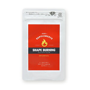 �ySHAPE BURNING�i�V�F�C�v�o�[�j���O�j�z�_�C�G�b�g�T�v�������g �_�C�G�b�g�H�i