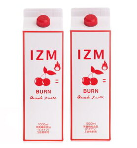 y2{܂ƂߔzIZM BURN@CY yfhN@o[ AZeCXg 1000ml@2{Zbg@yz