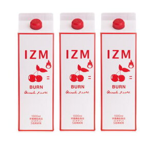 y3{܂ƂߔzIZM BURN@CY yfhN@o[ AZeCXg 1000ml@3{Zbg@yz