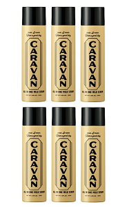 y6{܂Ƃߔzf~@CARAVAN@Lo@I[C~NZ@150ml@6Zbg@yz