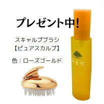楽天市場】黄金樹 プレミアムの通販