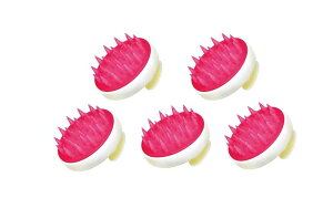 y5ZbgzgRC_Xg[Y@Vv[uV@Kapua JvA@5@yz