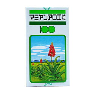 yL-4z}~AG@AG@300@yʌzyܖ2026N3̕îߍ݌ɏIz