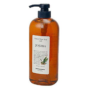 ���x���@�i�`�������w�A�\�[�v �z�z�oJO�@720ml