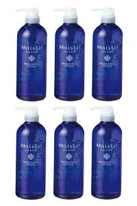 y6{܂Ƃߔze@CVXgpuCgjO[V@700ml@@(pzCgjO[V)@6{Zbg@yz