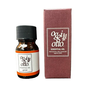 IbWBIbg GbZVIC OE 10ml oggiotto A}IC