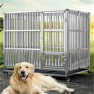 ���p�P�[�W �������ނ̃y�b�g�̌��ƔL�ɓK�����X�e�����X���̌��p�P�[�W�A��^���ƌ��p�P�[�W �y�b�g ���� �L�����[�o�b�N �� ��^ ���^ ���^�� �N���[�g ������� �S�� �X�e�����X�| 