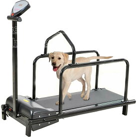 【時間限定P4倍】犬用トレッドミル 小型犬用 ペット用トレッドミル 犬用 犬用ランニングトレーニングマシン 100kgの耐荷重 LCDディスプレイ付き 屋内用 ペット用 おもちゃ ペットエクササイズ用