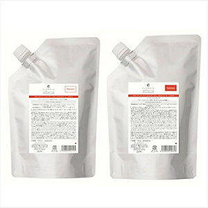 ylւ2_Zbgzf~ t[fBA X[NCXg Vv[ 1000ml + g[gg 1000g lւDEMI FLOWDIA T 炩 Ȃ߂炩 _[WPA tB Ɩp BC-T V-1