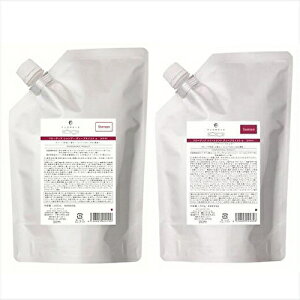 ylւ2_Zbgzf~ t[fBA fB[vCXg Vv[ 1000ml + g[gg 1000g lւDEMI FLOWDIA T Ƃ Ȃ߂炩 _[WPA 1L ΍ tB Ɩp BC-T V-2