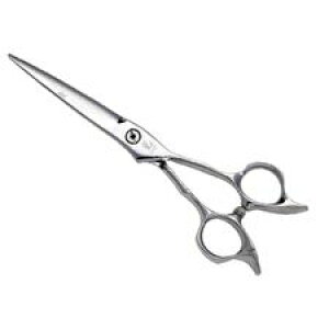 yVi/z  qJVU[ S-6.0M SEV COSMOS ZuRXX 6.0C` S-6.0M Kl^Cvy󒍐Y 2z JbgVU[y񂹏iz₷芴nCubhVU[ BC-D V-1