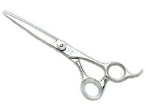 yVi/z qJVU[ BLAZE JUNIOR uCY WjA 574@7.0C`@`ɓŔȂWjAp` BC-D V-1