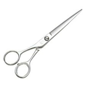 yVi/z qJVU[ HIKARI LEFTY 603 qJ teB603@6.0C` `tgn_[̏G`25 BC-D V-1