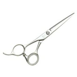 yVi/z qJVU[ HIKARI LEFTY 604 qJ teB604@5.5C` `tgn_[̏G`25 BC-D V-1