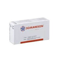 【正規品】ソマレゾンL（7mm）　100個入り SOMANIKS(ソマニクス)東洋レジン株式会社 /テレビで話題　ツボ…