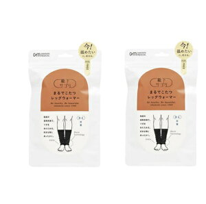 y܂ƂߔłI2ZbgzIJg CTv ܂ł@bOEH[}[@ubN @2Zbg fB[X ₦@{Ё@ȃGl BC-N Z-2