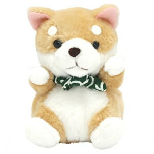 yJ[IzeCNIt ΂ STCY @zCg/x[W/ubN ʂ Č v[g Mtg TAKE OFF BC-D V-1