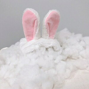 wAoh@ETM@eCNIt@ʂ݂ɂȂꂿႤ@v[g@20cm BC-D V-1