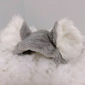 wAoh@RA@eCNIt@ʂ݂ɂȂꂿႤ@v[g@20cm BC-D V-1