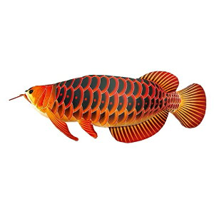 eCNIt AWA Aiʂ  TAKE OFFaLÕMtgƂĉkCO~ł BC-D V-1