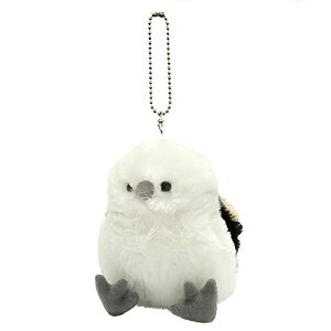 eCNIt V}GiK L[z_[ ʂTAKE OFF aLÕMtgƂĉkCO~ł BC-D V-1