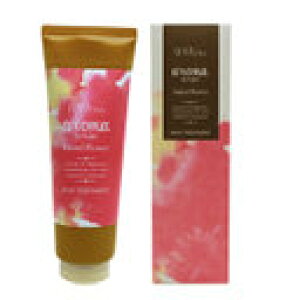 f~wAV[YYA}VbvXACht[wAg[gg240g BC-T V-1