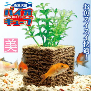   VoCIL[u 1 Mы Ϗ܋ p ANZT[  CeA [ ߖ  T|[g Ǘ |  ێ _J    y ȒP