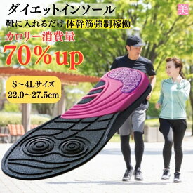 インソール 中敷き ダイエットインソール 体幹筋エクササイズインソール ツインボール ダイエット レディース メンズ O脚 姿勢改善 衝撃吸収 骨盤 疲れない 美脚 脚痩せ カロリー消費 スポーツ 靴 滑り止め 薄型 アーチサポート スニーカー バランス