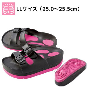 NT_ NXbp fB[X ̊؃VFCvXT_ ₷ T_ Xbp _CGbgXbp oX  O r Xbp  r O g EVA _C