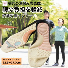 インソール 中敷き インソール 衝撃吸収 姿勢改善 腰らくインソール 1足入り インソール レディース メンズ 男女兼用 靴用 土踏まず アーチサポート O脚対策 クッション 立ち仕事 疲れない 歩行サポート スニーカー ランニング ウォーキング INSOLE
