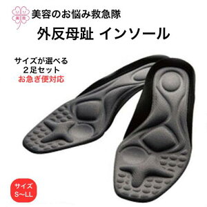 C\[ O fB[X Y KCnC\[ Ȃ ɂ  pvX fB[X G  Op OC\[ Ռz C\[E~