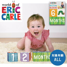 知育玩具 マイルストーンブロック はらぺこあおむし カラフル 指先 おもちゃ 月齢 記念フォト バースディ フォトグッズ 成長 赤ちゃん 幼児 お祝い 出産祝い 贈り物 送料無料 ECNOV-014