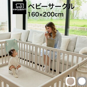 xr[T[N vC[h xr[Q[g nC^Cv t ܂肽 ܂ 傫 vX`bN  Ԃ xr[ q T[N 킢 zCg ` cocozari