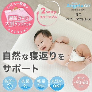 r[eTI {̈U}bgXGWFGA[ | ~jxbhp ̈Uې􂢉\dʂ킸780gЎł炭炭QԂ肪ł₷œKȐpۂ