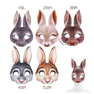 24CM     }XN Y fB[X    Cxg p[eB[ ObcȂ肫   RXv RX`[ nEB[ϑ 蕨 lp  