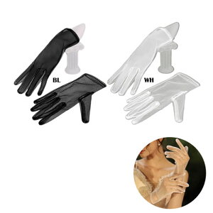 Vv `[  O[uXPg @q TCY  p ܃_X ߑ qbvzbv uC_  Cxg p[eB[ ] nEB[ ReXg \ 