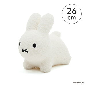 yIdes ACfXzu[i{{ ӂ탂R ~j rbg(oYj 蕨 v[g j oYv[g oY蕨 n[to[Xf[ a NX}X CeA ~btB[ miffy